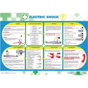 Wallace Cameron Electric Shock Poster Laminated Wall-mountable W590xH420mm Ref 5405026